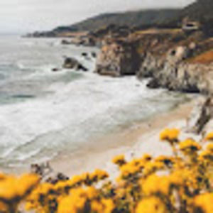 Meet your Posher, Sam